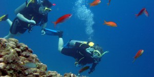 diving-in-Greece kos duiken zonvakantie
