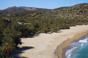 vai palmenstrand vakantie kreta