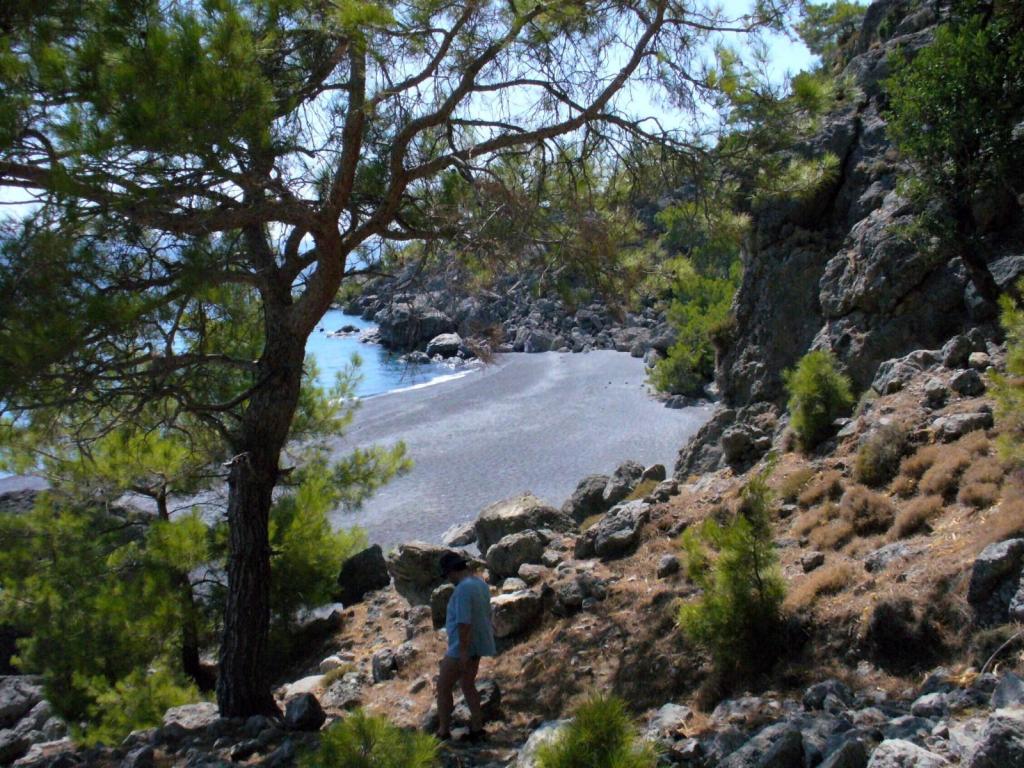 fournoti beach is een van de mooiste stranden van kreta