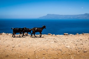 zon zee strand - vakantie griekenland 1